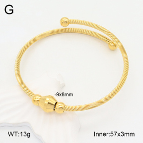 2BA202091vbnb-387  Stainless Steel Bangle