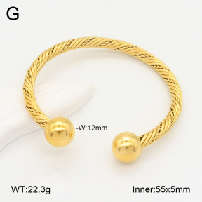 2BA202094vbnb-387  Stainless Steel Bangle