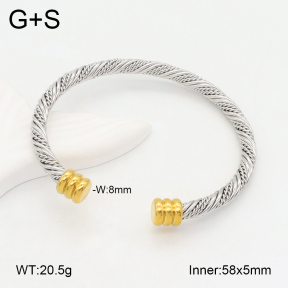 2BA202096vbmb-387  Stainless Steel Bangle