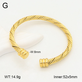 2BA202097vbnb-387  Stainless Steel Bangle