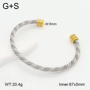 2BA202098vbmb-387  Stainless Steel Bangle