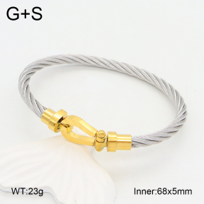 2BA202100vhha-387  Stainless Steel Bangle