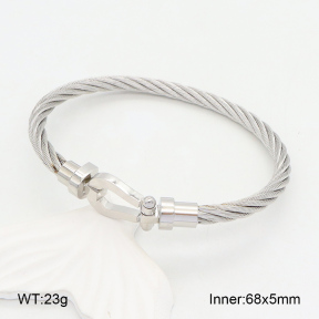 2BA202101bhva-387  Stainless Steel Bangle