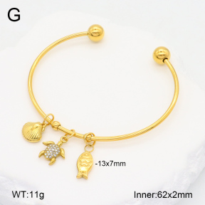 2BA402270bbov-355  Stainless Steel Bangle