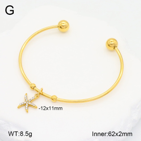 2BA402272vbmb-355  Stainless Steel Bangle