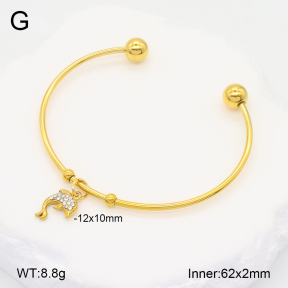 2BA402273vbmb-355  Stainless Steel Bangle