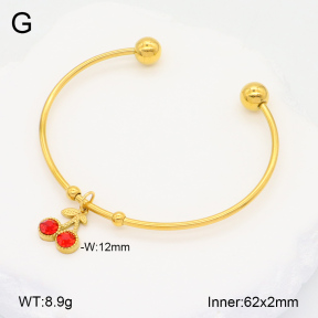 2BA402274vbmb-355  Stainless Steel Bangle