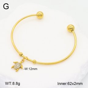 2BA402278vbmb-355  Stainless Steel Bangle
