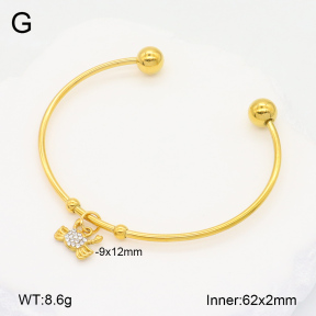 2BA402279vbmb-355  Stainless Steel Bangle