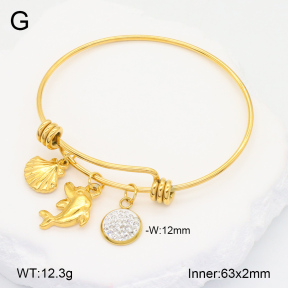 2BA402280abol-355  Stainless Steel Bangle