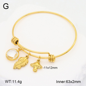 2BA402284abol-355  Stainless Steel Bangle