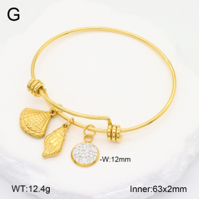2BA402286abol-355  Stainless Steel Bangle