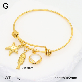 2BA402287abol-355  Stainless Steel Bangle