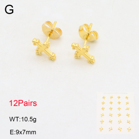 2E2006004vhov-355  Stainless Steel Earrings