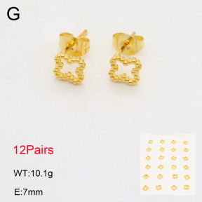 2E2006005vhov-355  Stainless Steel Earrings