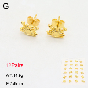 2E2006006vhov-355  Stainless Steel Earrings