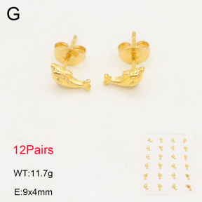 2E2006007vhov-355  Stainless Steel Earrings