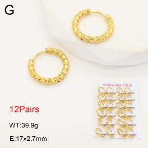 2E2006084akoa-387  Stainless Steel Earrings