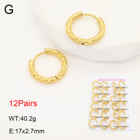 2E2006085akoa-387  Stainless Steel Earrings