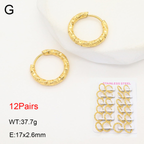 2E2006086akoa-387  Stainless Steel Earrings
