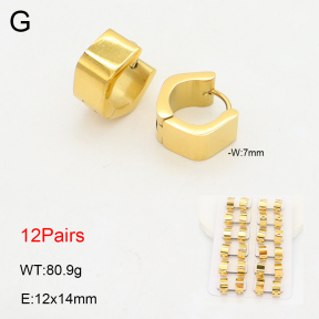 2E2006087akoa-387  Stainless Steel Earrings