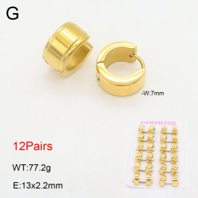 2E2006088akoa-387  Stainless Steel Earrings