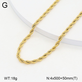 2N2005911aakl-749  Stainless Steel Necklace