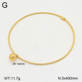 2N2005916bhva-749  Stainless Steel Necklace