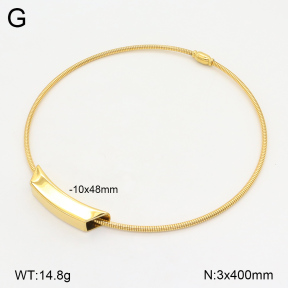 2N2005917bhva-749  Stainless Steel Necklace