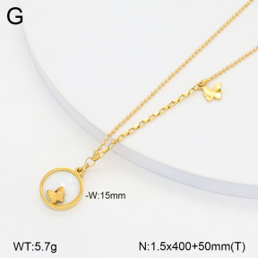 2N3002623vbnb-749  Stainless Steel Necklace