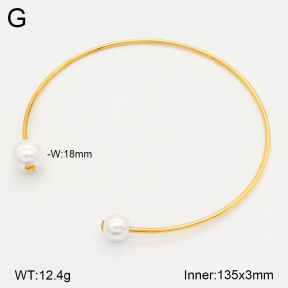 2N3002627bhia-749  Stainless Steel Necklace