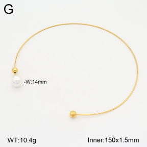 2N3002628bhia-749  Stainless Steel Necklace