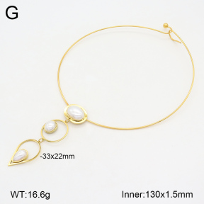 2N3002629vhkb-749  Stainless Steel Necklace