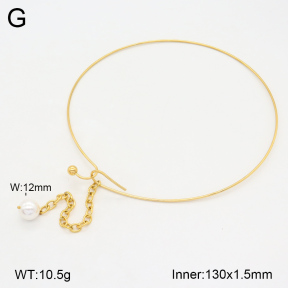 2N3002630bhia-749  Stainless Steel Necklace