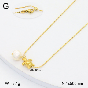 2N3002632vbmb-355  Stainless Steel Necklace