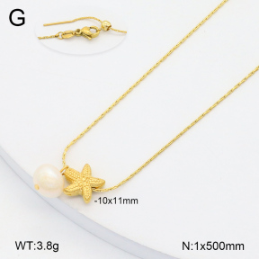 2N3002633vbmb-355  Stainless Steel Necklace