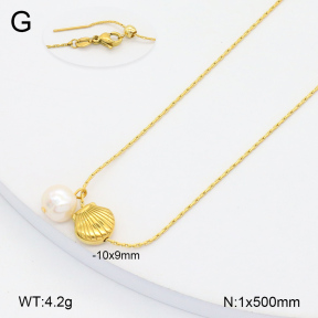 2N3002634vbmb-355  Stainless Steel Necklace