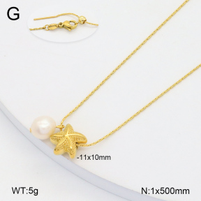 2N3002635vbmb-355  Stainless Steel Necklace