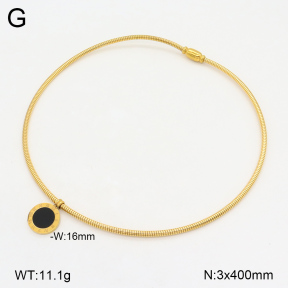 2N4004258bhva-749  Stainless Steel Necklace