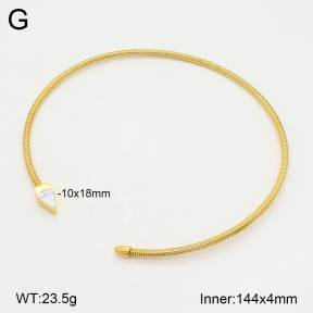 2N4004259vhkb-749  Stainless Steel Necklace