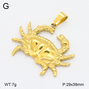 2P2004582aajl-355  Stainless Steel Pendant