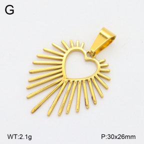 2P2004587aajl-355  Stainless Steel Pendant