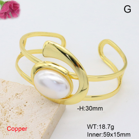 F6BA30225vhkb-L017  Fashion Copper Bangle