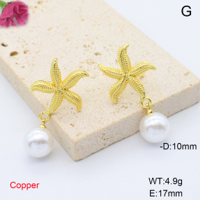 F6E302038ablb-L017  Fashion Copper Earrings