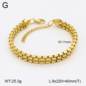 2A9001670bhva-312  Stainless Steel Anklets