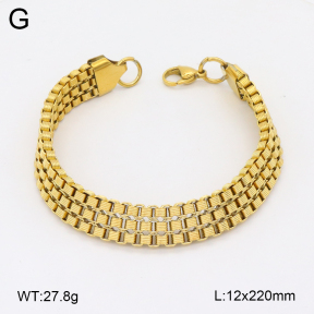 2B2004193bhva-312  Stainless Steel Bracelet