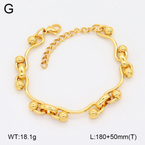 2B2004202bhva-312  Stainless Steel Bracelet