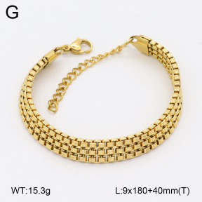 2B2004204bhva-312  Stainless Steel Bracelet