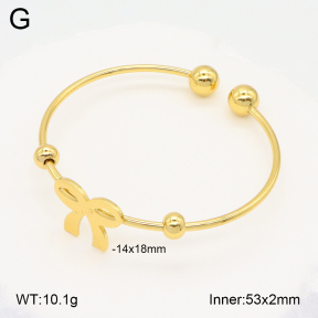 2BA202072vail-423  Stainless Steel Bangle