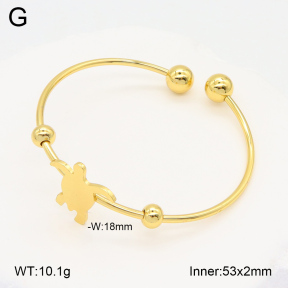 2BA202073vail-423  Stainless Steel Bangle
